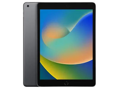 Apple iPad 9 (2021) 10,2 Zoll space gray (tecXL)