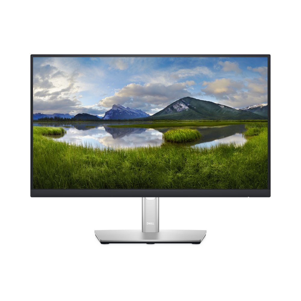 DELL P Series 54,61 cm (21,5") Monitor – P2222H