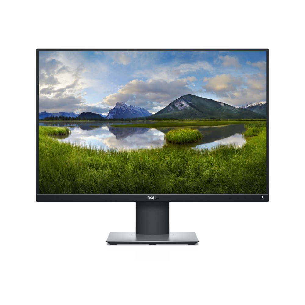 DELL P2421 24,1" | 1920x1200 IPS | 60Hz | WUXGA Monitor