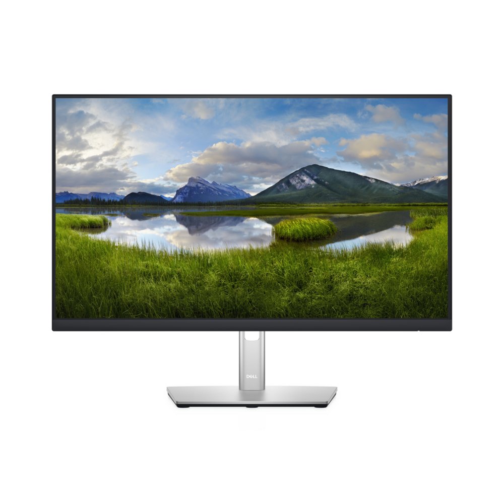 DELL P2422H 23,8" | 1920x1080 IPS | 60Hz | Full HD Monitor