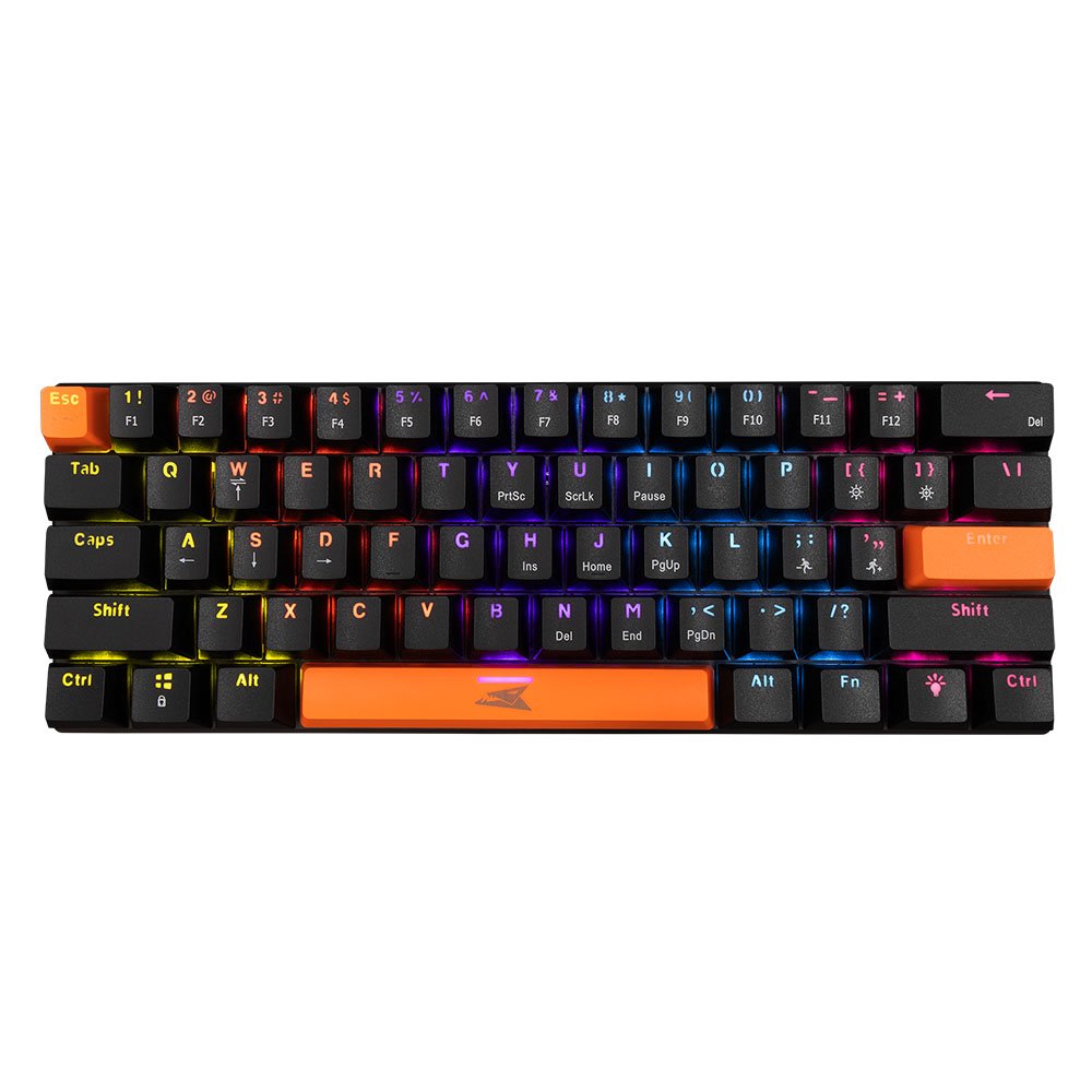 Baracuda Dolphin RGB 60 Prozent | Kabelgebundene Gaming-Tastatur | Anti-Ghosting | QWERTY | Schwarz