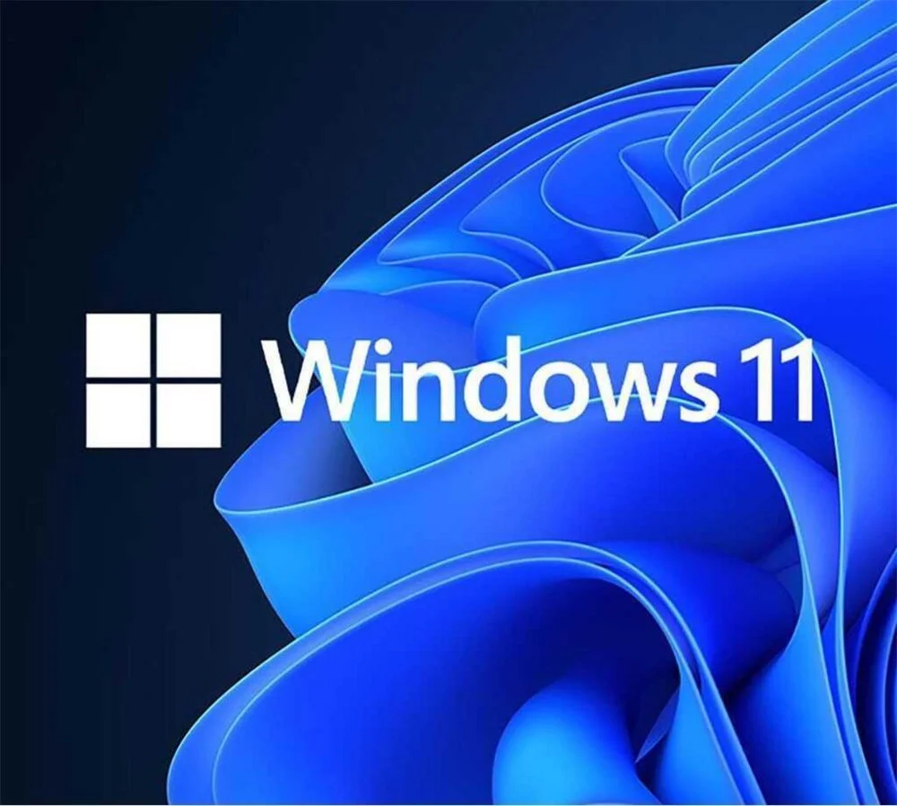 Microsoft Windows 11 Professional | 64-Bit OEM | Niederländisch / Mehrsprachig